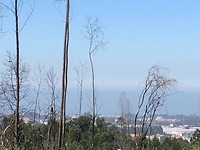 IMG_8340
