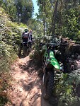 IMG_8345