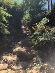 IMG_8348