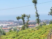 IMG_8349