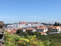 IMG_8350