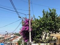 IMG_8352