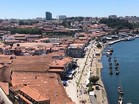 IMG_8365