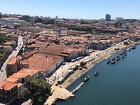 IMG_8369