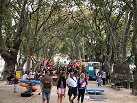 IMG_8404