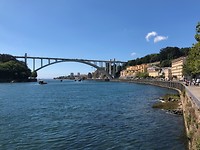 IMG_8454