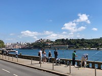 IMG_8456