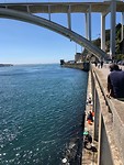 IMG_8457