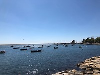 IMG_8463