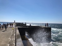 IMG_8466