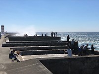 IMG_8469