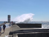 IMG_8473