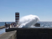 IMG_8477