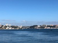 IMG_8479