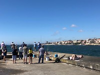 IMG_8480