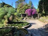 IMG_8481