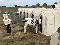 IMG_8533