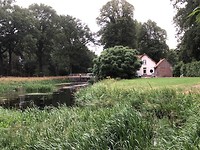 IMG_8594