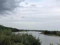 IMG_8599