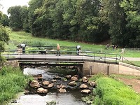 IMG_8606