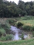 IMG_8618