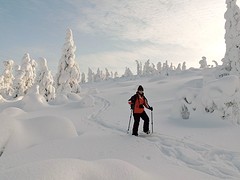 Winterwonderland