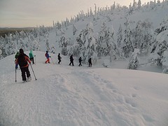 Winterwonderland