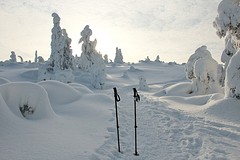 Winterwonderland