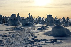 Winterwonderland
