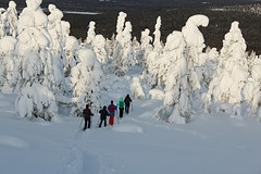 Winterwonderland