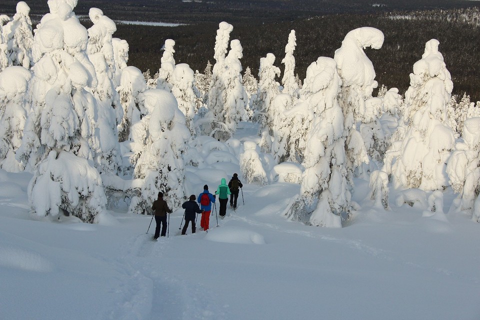 Winterwonderland