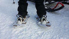 Zo ziet een sneeuwschoen er uit