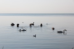 IMG_5849