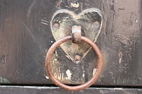IMG_6014