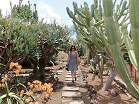 Jardim Botanico