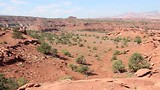Capitol Reef - uitzicht vanaf het Panorama Point