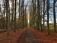 Oude Vordenseweg