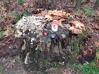 stronk met paddenstoelen en versierde steentjes