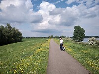 IMG_20210518_163643717