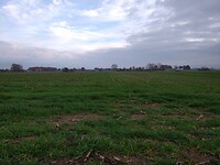 IMG_20201122_150321868