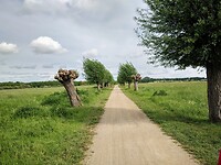 IMG_20210524_173516733~2