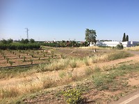 IMG_4377