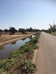 IMG_4378