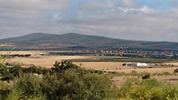 DSC_0655