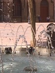 IMG-20190628-WA0000