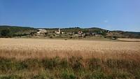 DSC_0919