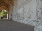SAM_0214