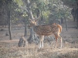 SAM_0696