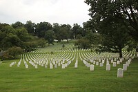 IMG_3080