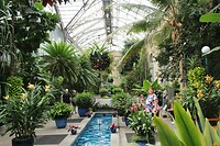 IMG_3164